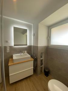 een badkamer met een wastafel en een spiegel bij Apartment Kaapi in Friedrichshafen