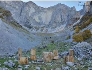 a painting of a mountain with wooden posts in the foreground at Dhimitrulla Guest-House in Përmet +1 photo