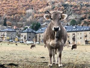 a cow standing in a field in front of a city at Cal Teixidó in Ribera de Cardós +4 photos