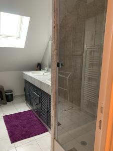 a bathroom with a shower and a sink at La Costonnerie in Leigné-sur-Usseau