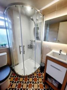 uma casa de banho com um chuveiro, um WC e um lavatório. em Alross studio flat / private bathroom em Londres