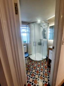 uma casa de banho com um chuveiro e um WC. em Alross studio flat / private bathroom em Londres
