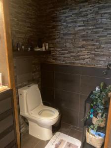 a bathroom with a toilet and a brick wall at Casa da Maia in Ville-la-Grand