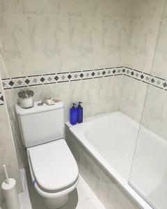 a bathroom with a white toilet and a tub at Apartamento San Roque in Betanzos