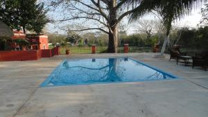 an empty swimming pool in a patio with a tree at Hacienda San Jose Poniente in Hoctún