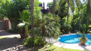 una piscina en un patio con palmeras en El oasis loft, en Córdoba 4 fotos más