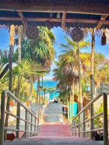 a boardwalk leading to a beach with palm trees at Glamping Asana Bacalar in Bacalar