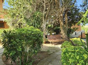 um banco de madeira sentado sob uma árvore em um parque em Casa em condomínio para 6 na Praia do Forno, Búzios-PISCINA EM MANUTENÇÃO ATÉ 30 DE JUNHO em Búzios