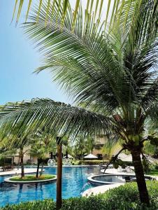 a palm tree sitting next to a swimming pool at Ap no Beach Place Resort in Aquiraz