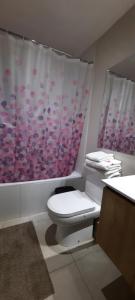 une salle de bain avec toilettes et rideau de douche dans l'établissement Pucón Soñado Te Espera, à Pucón 25 autres photos