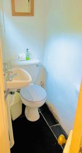 a bathroom with a white toilet and a sink at Molls Yard Traditional Cottage in Port Isaac