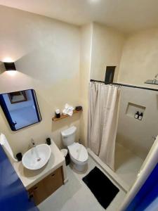 La salle de bains est pourvue de toilettes, d'un lavabo et d'une douche. dans l'établissement sunsteps purple room, à Holbox
