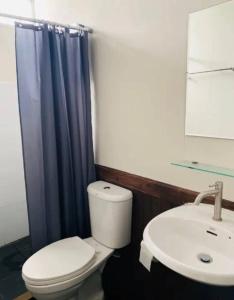 Phangan Chalet Bungalow & House في تشالوكلوم: حمام به مرحاض أبيض ومغسلة