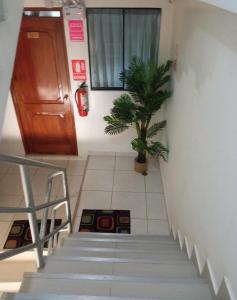 eine Treppe mit Topfpflanze in einem Zimmer in der Unterkunft HOSPEDAJE GIMAJA in Villa Rica