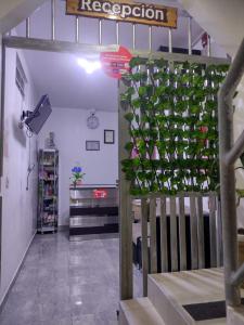 eine Treppe mit einer grünen Wand mit Pflanzen in der Unterkunft HOSPEDAJE GIMAJA in Villa Rica