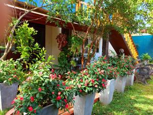 un gruppo di fiori in vasi bianchi di fronte a una casa di Raj Mahal Inn a Wadduwa