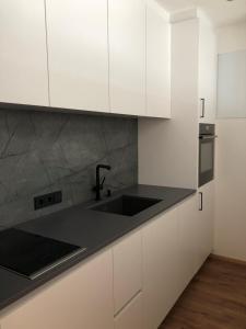 Kuchyňa alebo kuchynka v ubytovaní Appartements Pedescin