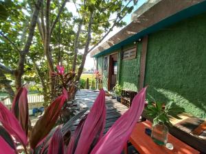 a house with a green wall and a wooden deck at Hostel Utopia in Holbox Island