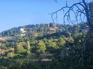 een uitzicht op een heuvel met huizen en bomen bij Stella's Country House in Prodromos