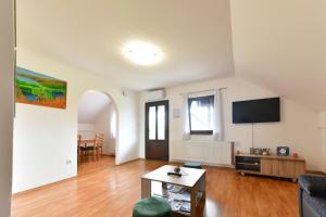 a living room with a couch and a tv at Apartment Ivano in Rakovica