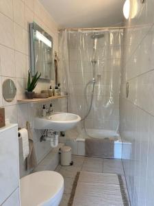 a bathroom with a sink and a toilet and a shower at Ferienwohnung LandLeben für 2-3 Personen in Edesheim