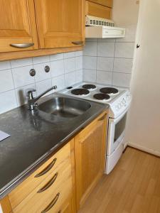 a kitchen with a sink and a stove at Valimontien residenssi in Kouvola