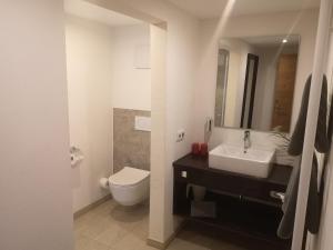 a bathroom with a sink and a toilet and a mirror at Dreimäderlhaus - Das vegetarische Boutique Hotel in Füssen