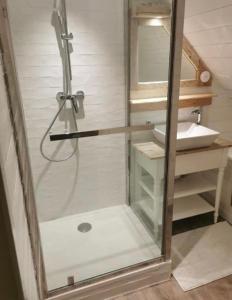 a shower with a glass door next to a sink at Retour de plage in Locmaria
