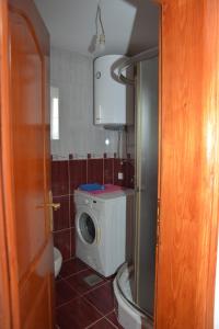y baño con lavadora y aseo. en Apartmani Previja en Berane