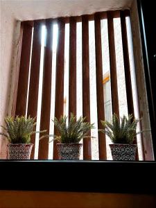 莱斯卡拉Taverna de la Sal Boutique Hotel的相册照片