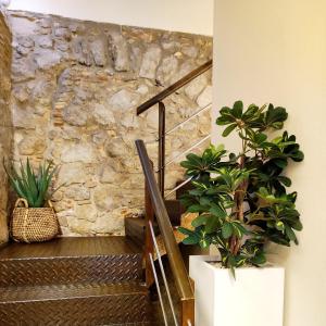 莱斯卡拉Taverna de la Sal Boutique Hotel的相册照片
