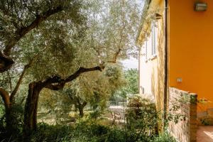Zahrada ubytování Casa Lunaria