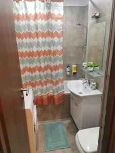 Studio Carol - Rond Baba Novac
