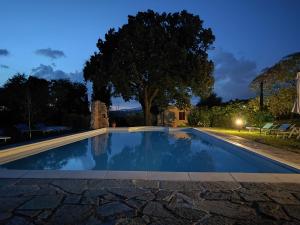 a swimming pool at night with a tree in the background at Casa Vacanze "Dimora Quercia" - Appartamento "Oliva" in Montefalco