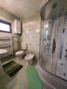 a bathroom with a shower and a toilet and a sink at Pensiunea Geta in Rucăr