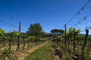 En trädgård utanför Agriturismo la Concezione