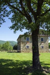 una vieja casa de piedra con un árbol delante en Agriturismo la Concezione, en Castiglion Fibocchi