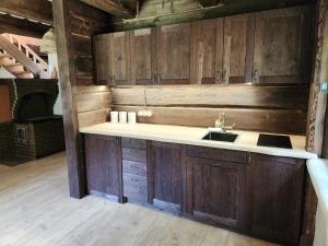 a kitchen with wooden cabinets and a sink at Atpūtas parks Priežvanagi in Livža