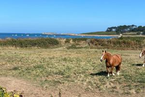 Animales en la casa vacacional o alrededores