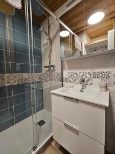 uma casa de banho com um lavatório e um chuveiro em LES BALCONS DU SOLEIL L OURSON em Font Romeu Odeillo Via