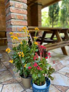 Jardí fora de Guest House Shekvetili
