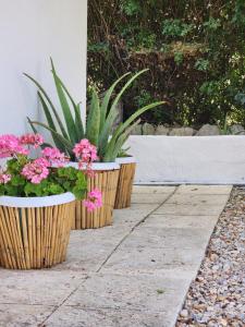 Φωτογραφία από το άλμπουμ του Under the vine garden house σε Πλατάνι