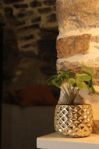 Fotografie z fotogalerie ubytování Theane lime 1 v destinaci Kavala