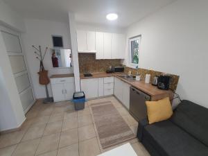 Kuchyň nebo kuchyňský kout v ubytování Apartment Olive Garden with Private Pool