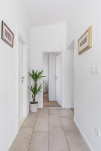 un corridoio con pareti bianche e una pianta in vaso di Tonina apartment - house with patio, jacuzzi, free parking a Spalato (Split)