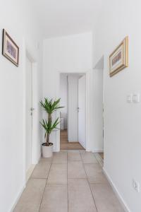 Fotografie z fotogalerie ubytování Tonina - house with terrace, jacuzzi, free parking ve Splitu + 22 fotografií