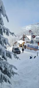 Cabana Edelweiss في Lupeni: موقف مغطاة بالثلج مع سيارة في الثلج