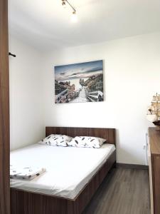 a bed in a room with a picture on the wall at Apartman Misovic in Herceg-Novi