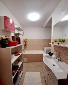 uma casa de banho com um lavatório e uma banheira em Opera Victoriei Residence - Ultracentral Cozy accommodation em Timisoara