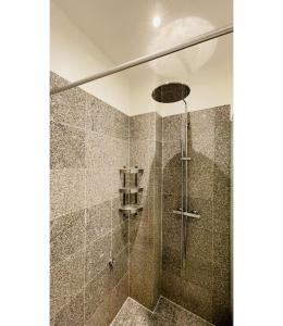 La salle de bains est pourvue d'une douche avec une porte en verre. dans l'établissement ApartmentInCopenhagen Apartment 1555, à Copenhague
